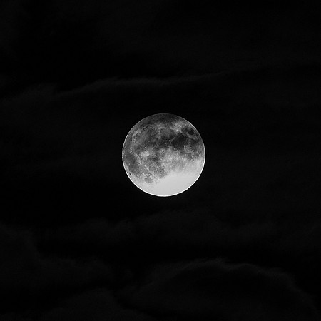 _NSP0890-Edit