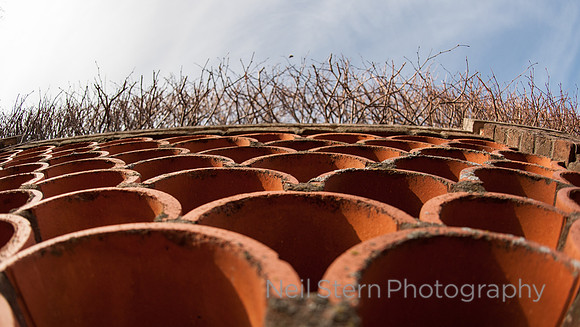 BotanicGardens_141225-049