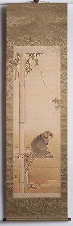 NSP_1381-2