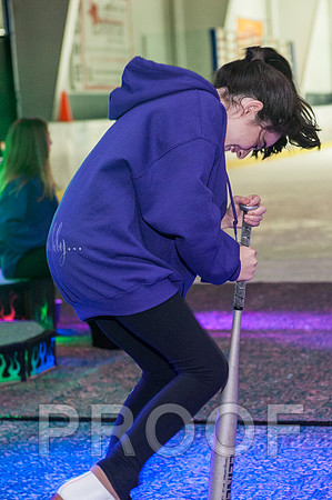 185_SkatingParty