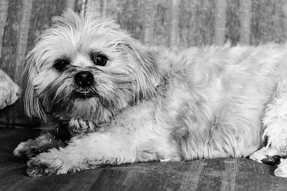 Schwalb_6002_NSPhoto-Edit_B&W