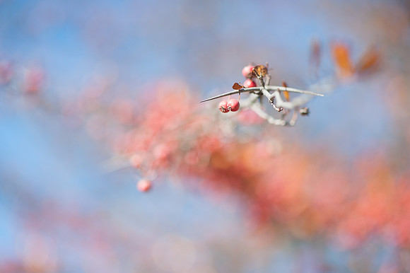 4909__Trivedi_NeilSternPhoto